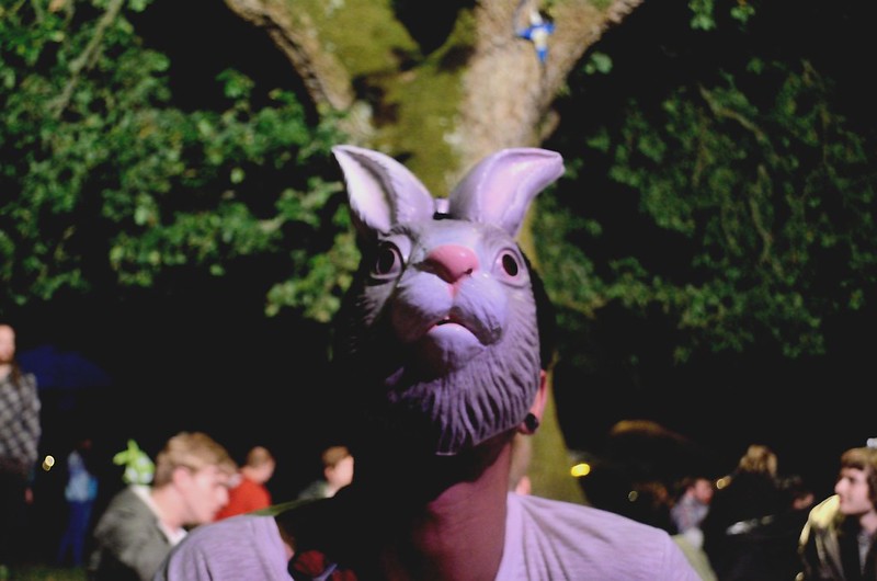 A Doune the Rabbit Hole festival rabbit [photo by Ralph Thompson]