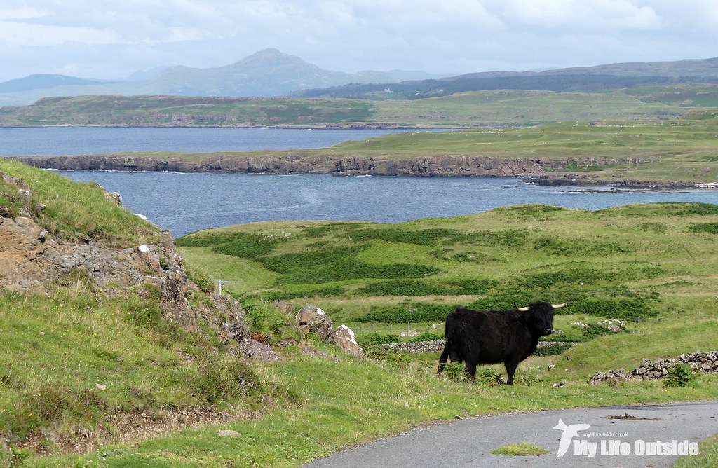 P1100484 - Caliach, Isle of Mull