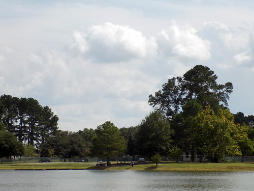 lumberton nc northcarolina robesoncounty lutherbrittpark park citypark outside outdoors nature natural lake pond water bodyofwater nikon coolpix l340 bridgecamera sky clouds tree trees greenery grass lawn yard shore landscape