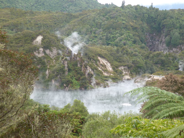 NUEVA ZELANDA. POR LA TIERRA DE LA LARGA NUBE BLANCA - Blogs de Nueva Zelanda - Valle volcánico de Waimangu (6)