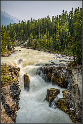 sunwapta falls canadian rockies
