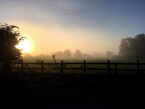 sunrise wexford ireland irish hff fence field misty autumn sun sky silhouettes iphonese