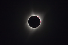Eclipse Corona and Prominences