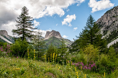 bardonecchia italia nikon nikond5000 piemonte vallestretta montagna
