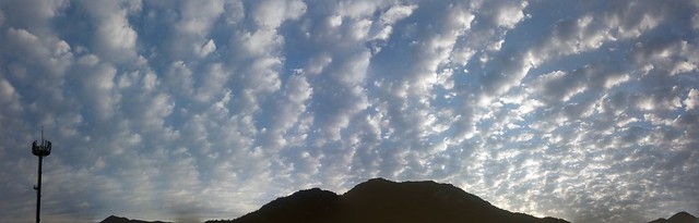 구름 버섯 가득한 아침 하늘