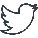 social_media_social_media_logo_twitter-128