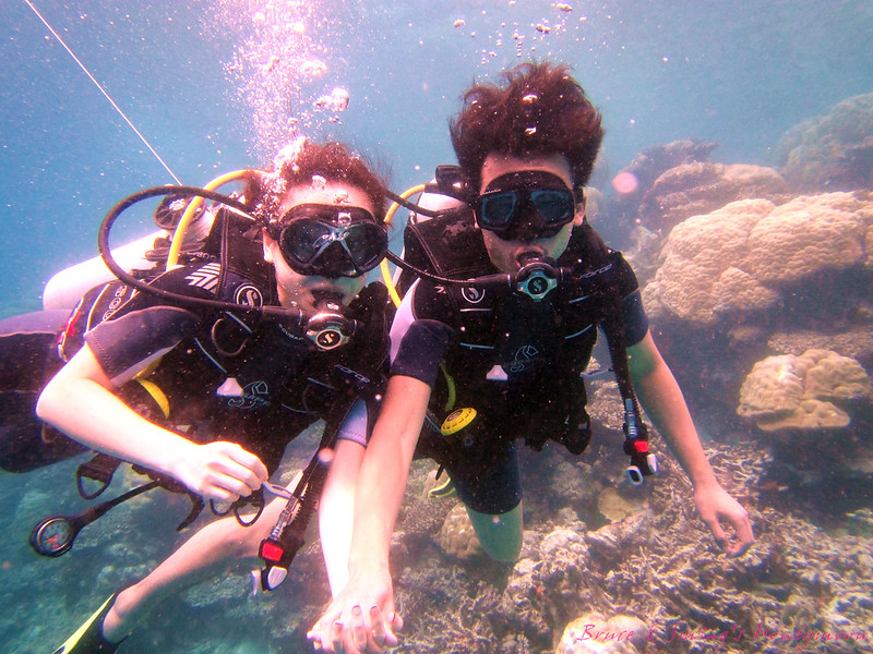 scuba diving4036