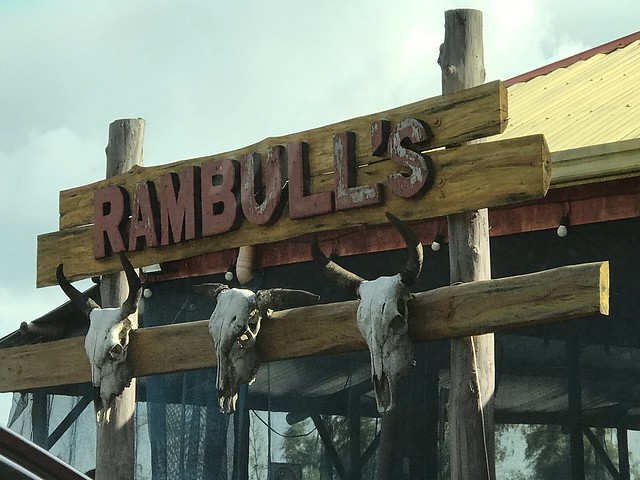 Rambull/s cow heads
