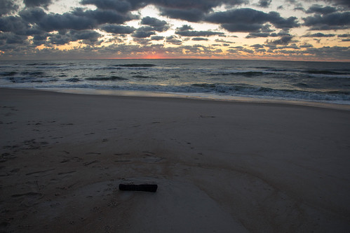 sunrise driftwood beach assateague