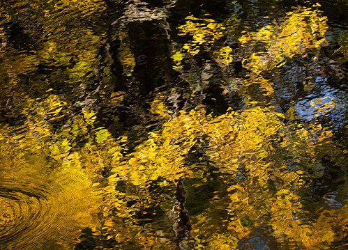 riverwood riverwoodoctober2016 autumn autumncolour easternontario harcourt ontario canada ca