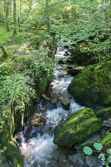 Stock Ghyll Force waterfall walk