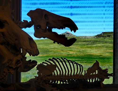 agatefossilbedsnationalmonument dinosaur skeleton fossil nebraska