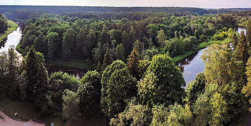 tree baltics river lietuva lithuania panorama pano