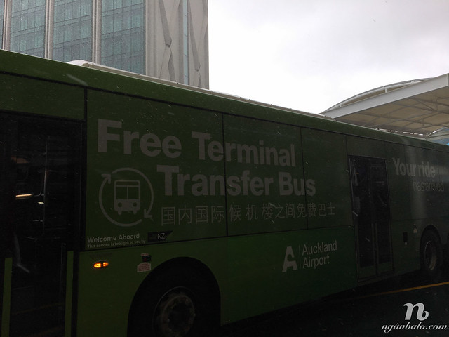 Cách đi xe buýt từ sân bay quốc tế đến nội địa ở Auckland, New Zealand