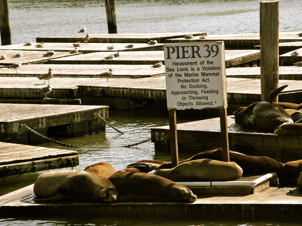 Pier 39 en San Francisco