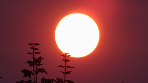 sunrise smoke lens movement pdx portland or sky show
