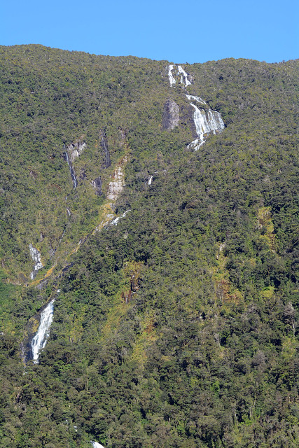 Doubtful Sound. Pequeña ruta por Kepler Track. - NUEVA ZELANDA. POR LA TIERRA DE LA LARGA NUBE BLANCA (22)