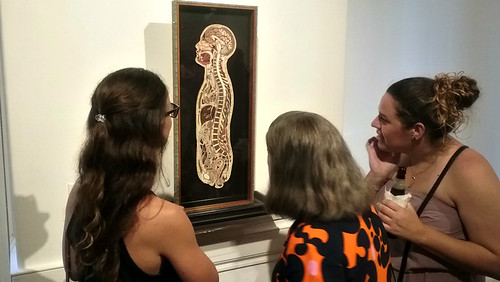 Midsagittal Female by Lisa Nilsson; Connective Tissue Exhibit at Mütter Museum  - Opening Attendees