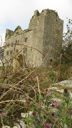 Dunguiare Castle in Ireland