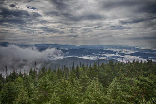 outside outdoors canon digital 5d markiv 5dmarkiv 6643feet beautiful clingmansdome greatsmokymountains scenic fog clear clearing clouds trees pine nature breaking amazing stunning cold 50degrees morning early clingmandome dome clingman clingmans 2017 thomasjohnsonphotography ©thomasjohnsonphotography ©2017thomasjohnsonphotography wet mist misty damp windy tennessee unitedstates