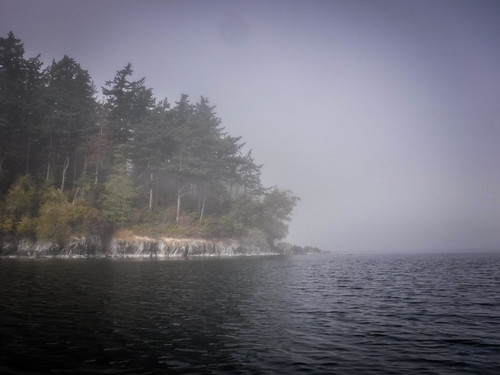 Samish Island Paddling in Fog-29