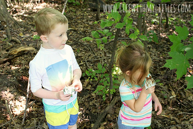 If you want to try going geocaching with kids, check this out! Nine tips for geocaching with kids that you'll want to keep in mind!