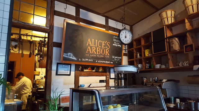 Alice’s Arbor