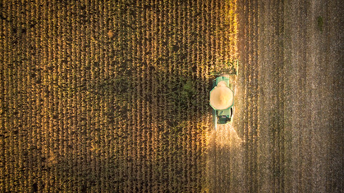 drone maryland us dji mavicpro farm corn harvest harvester fall crops mavic autumn sky sunset sunlight countryside america golden tractor field