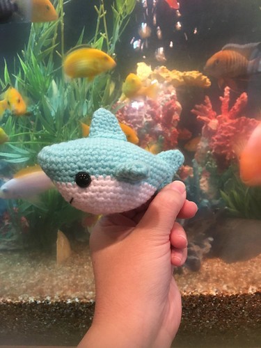 sealife crochetshark handmade yarn crochet amigurumi sharkamigurumi sharks shark