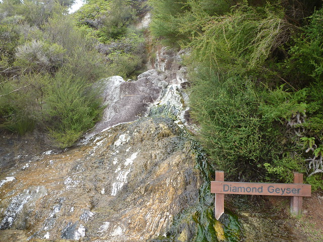NUEVA ZELANDA. POR LA TIERRA DE LA LARGA NUBE BLANCA - Blogs de Nueva Zelanda - Orakei Korako: "El Valle Oculto" de Nueva Zelanda (6)
