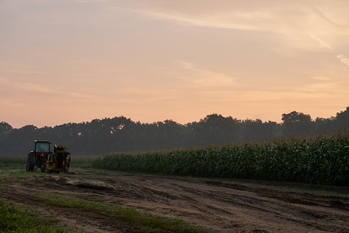 ct conecticut corn dirty landscape newengland america cornflakes farm heartland morning sky sunrise tractor farmington connecticut unitedstates us