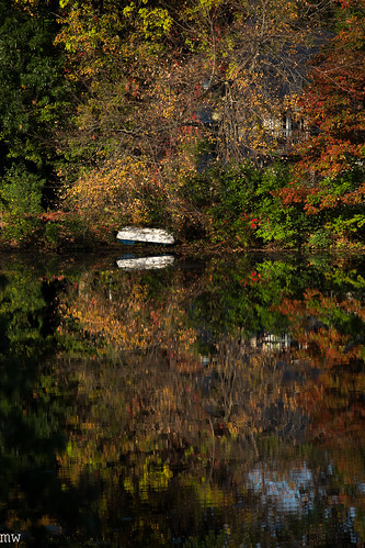 freemanlake northchelmsford chelmsford foliage leaves color canoe 6d 70200mm