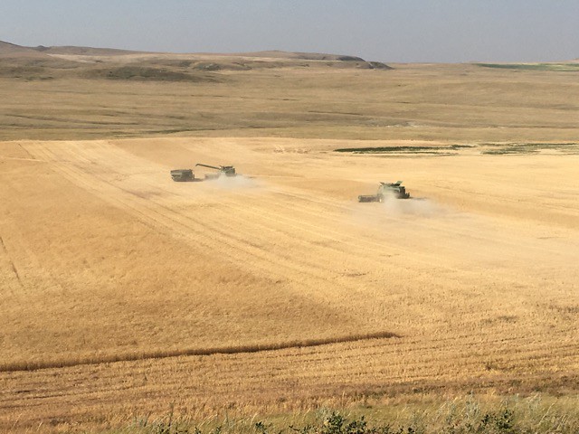 High Plains Harvesting - Mark 2017