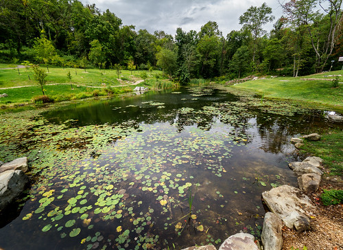 landscape pond pittsburghbotanicgarden oakdale pennsylvania unitedstates us
