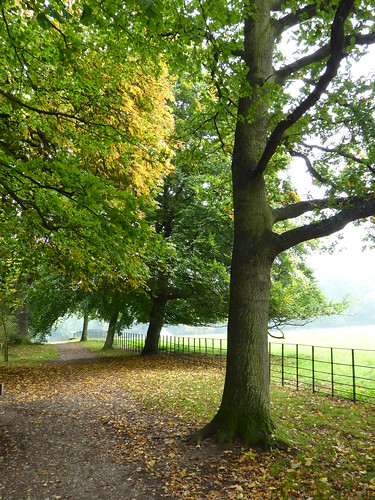 Attingham Park in Autumn