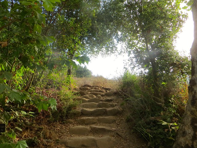 solstice canyon staircase