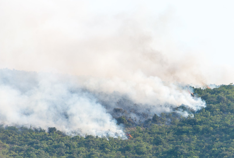 Forest fires on hills around Bay of Kotor, Montenegro, July 2017