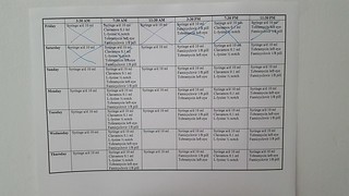 Eliza schedule