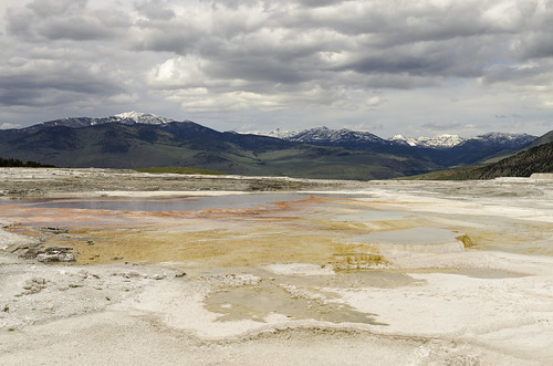 yellowstone national park us usa wyoming outdoor sightseeing mammoth hot springs landscape