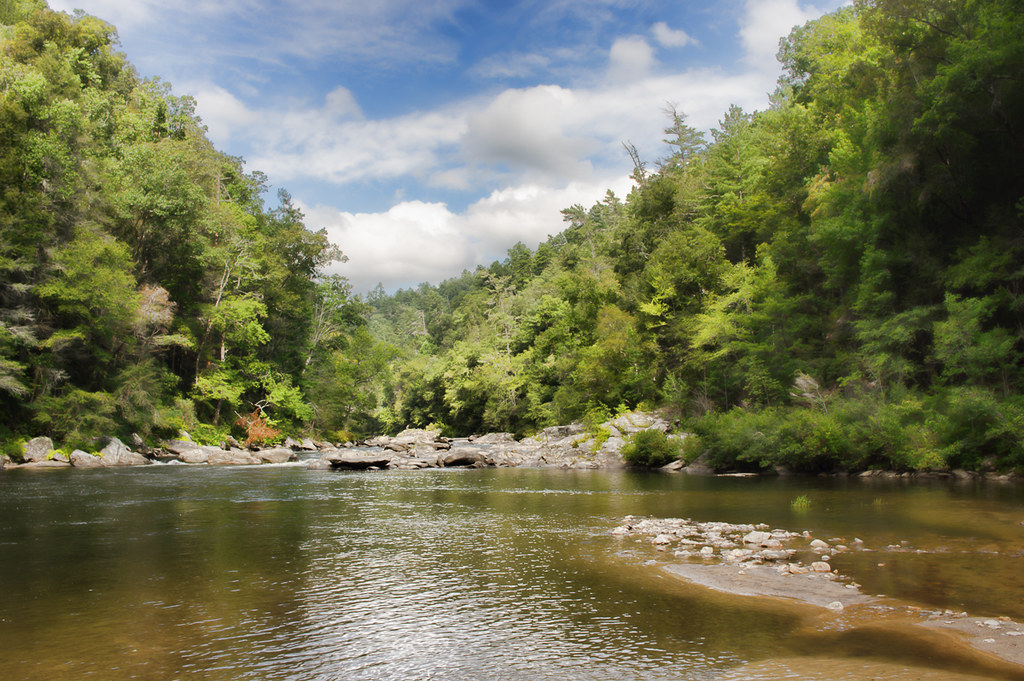 Chattooga river