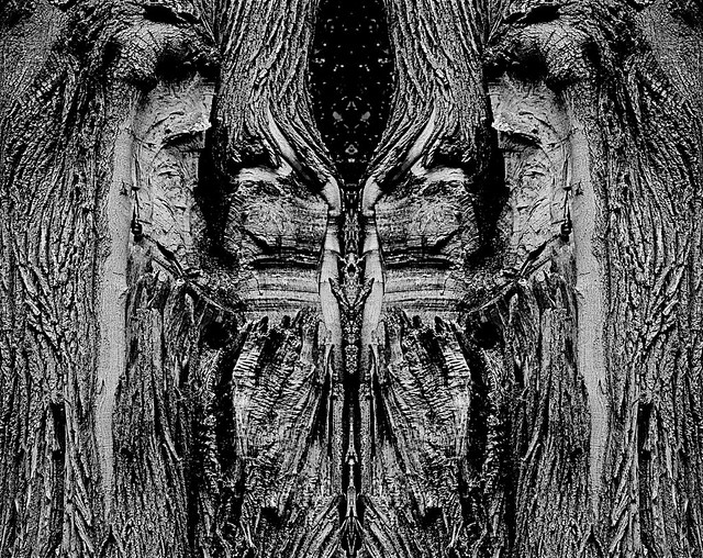 Elder tree god
