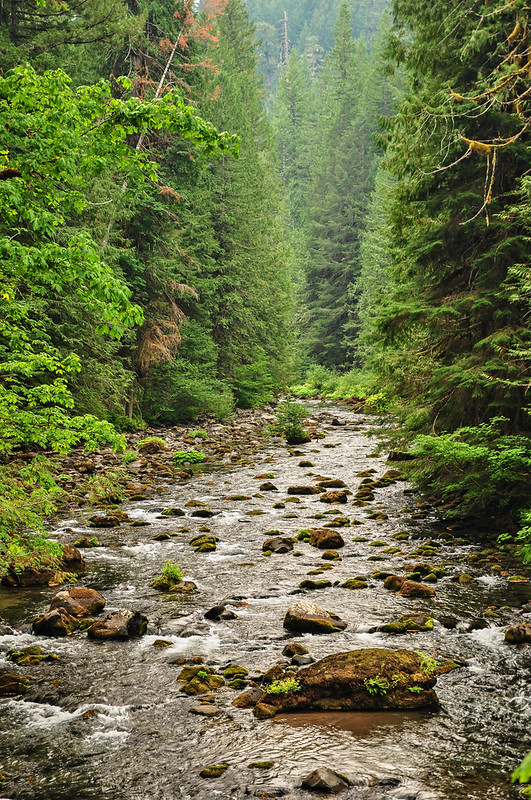 Salmon River Trail