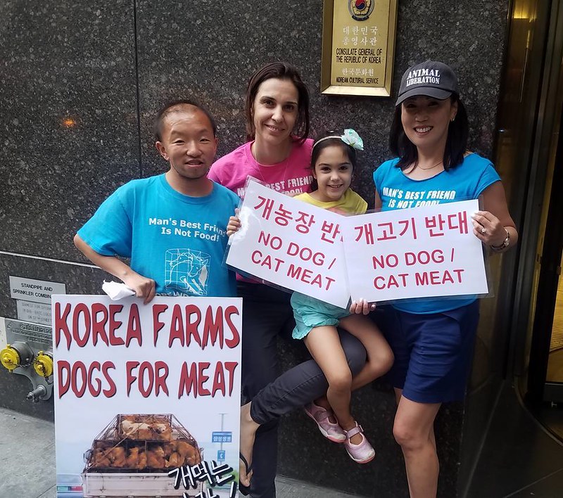 New York, South Korean Consulate General, ‘Boknal’ Demonstration for the South Korean Dogs and Cats (Day 3) – August 11, 2017 Organized by The Animals' Battalion