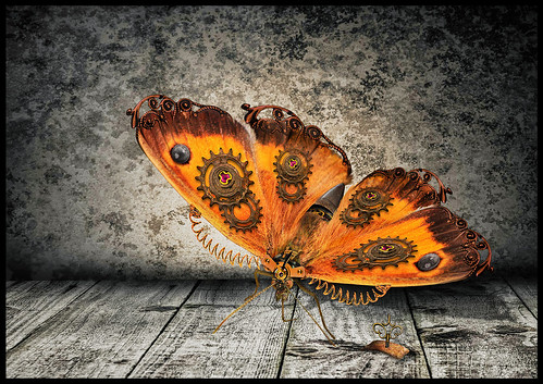 Butterfly 2.0