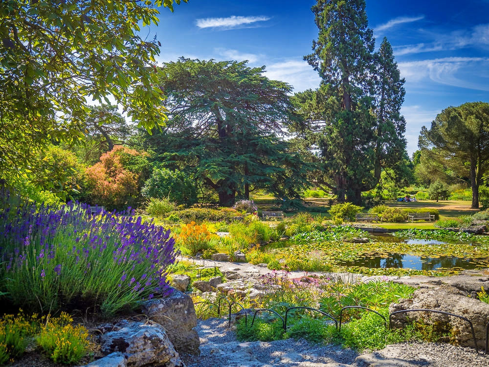 University Botanic Garden, Cambridge. Credit Bob Radlinski, flickr