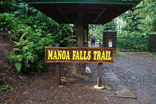 143 Manoa Falls Trail