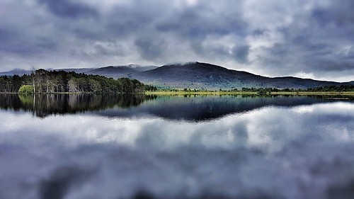 lochmallachie cairngormfoothills trees still calm tranquillity peaceful reflections loch lake water highlands northernscotland northeast scotland uk unitedkingdom britain scottishcountryside countryside samsung smartphone androidography galaxys7 marksutherland phoneography cellphone cameraphone snapseed sky clouds grantownonspey aundorach amaturephotographer view mothernature nature gartenpinewoods mirror mirrored postediting