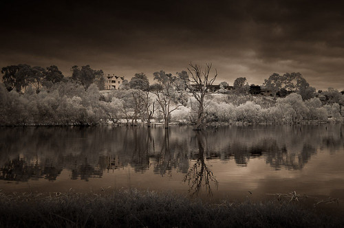 banyuleflats infrared infraredphotography banyule photography nikonaustralia nikon landscape melbourne victoria australia
