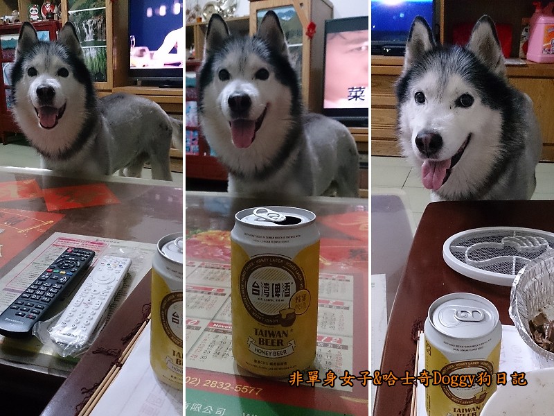 Doggy貪吃狗01蜂蜜啤酒