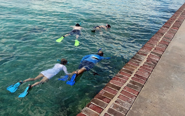 snorkelers-moat-wall